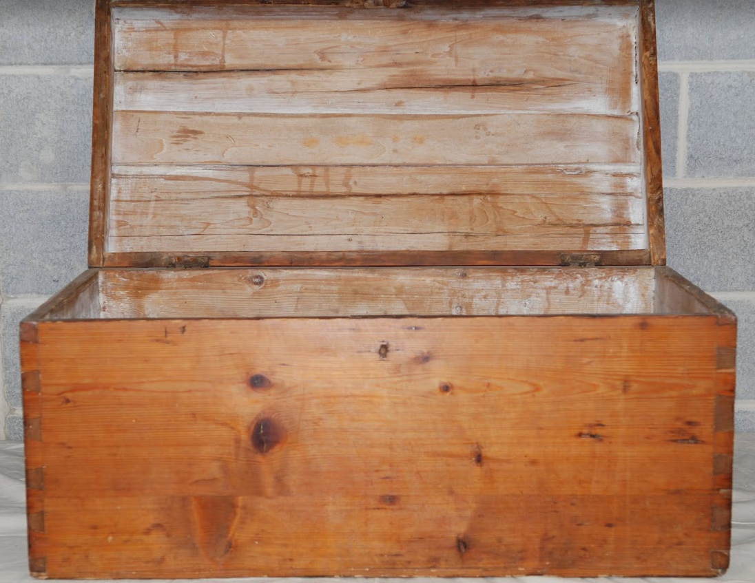 PINE TRUNK IRELAND CIRCA 1800